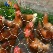 Menards Chicken Wire Fence para aves de aves precio na Polônia à venda